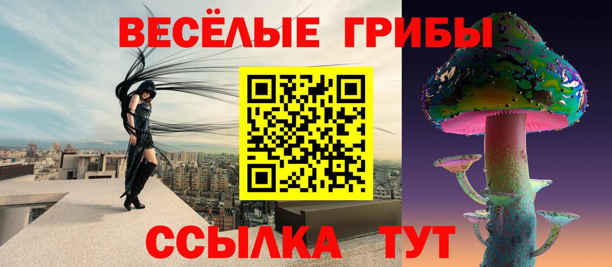 наркотики  Вход с VPN  Галлюциногенные грибы ЛСД  Борисоглебск  Псилоцибиновые грибы Psilocybe 